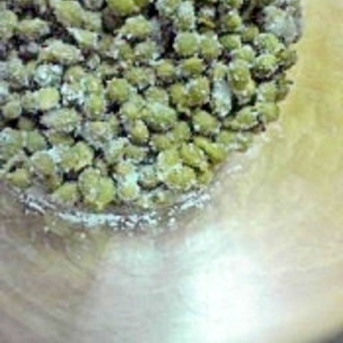 山椒の塩漬け レシピ 作り方 By 羽p 楽天レシピ